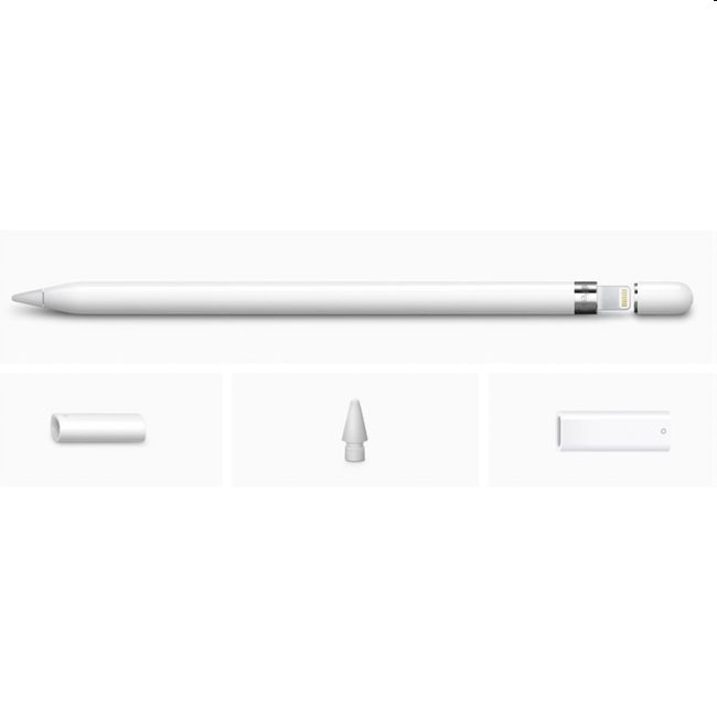 Apple Pencil (1st Generation) toll + USB-C adapter