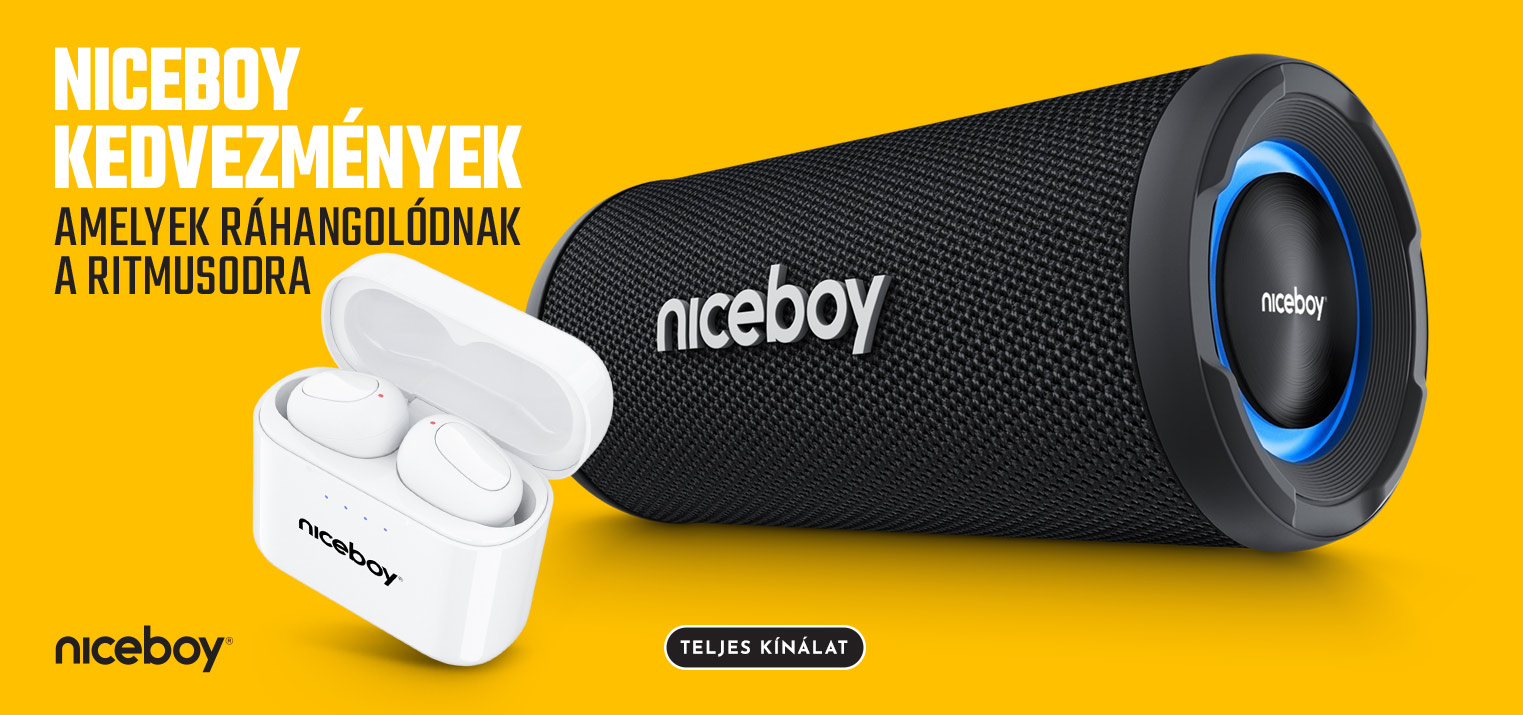 Niceboy audio kiárusítás