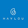 Gyártók:  Haylou