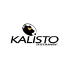 Gyártók:  Kalisto Entertainment