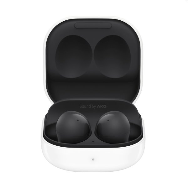 Samsung Galaxy Buds2, Fekete