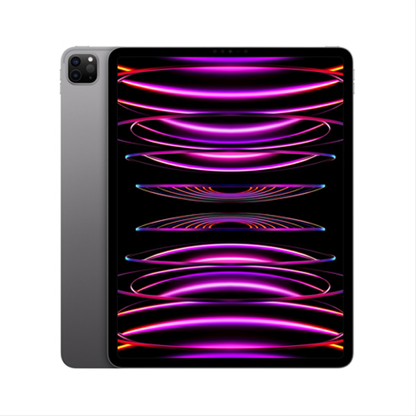 Apple iPad Pro 11" (2022) Wi-Fi 256 GB, space szürke