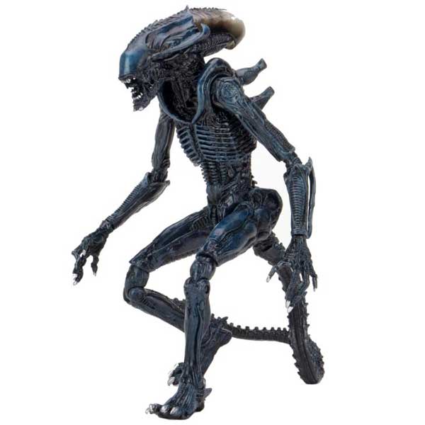 Figura Arachnoid Alien (Alien vs. Predator) Figura Arachnoid Alien (Alien vs. Predator)
