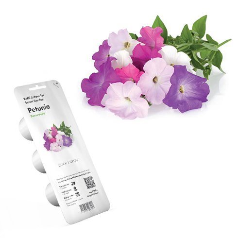 Smart Garden Petúnia - PC akciós termékkép 1