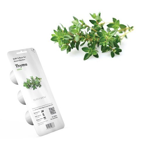 Click and Grow kakukkfű - PC akciós termékkép 1