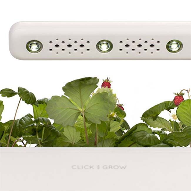 Click And Grow Smart Garden 3 virágcserép, fehér