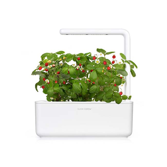 Click and Grow The Smart Garden 3, szürke