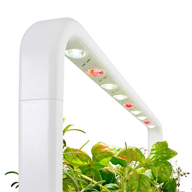 Click and Grow The Smart Garden 9, fehér