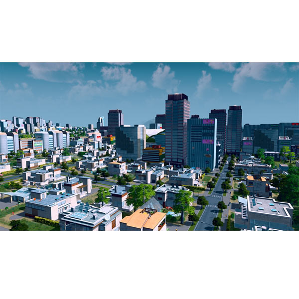 Cities: Skylines [Steam]