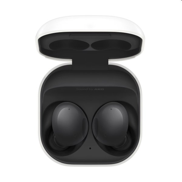 Samsung Galaxy Buds2, Fekete