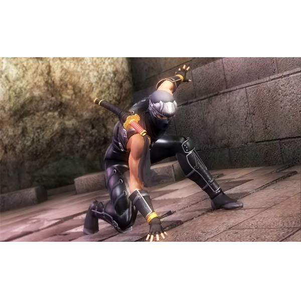Ninja Gaiden (Master Collection) Ninja Gaiden (Master Collection)