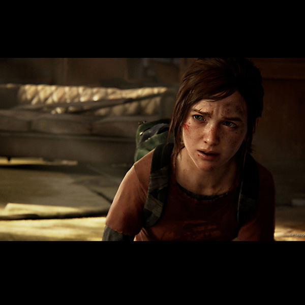 The Last of Us: Part 1 HU