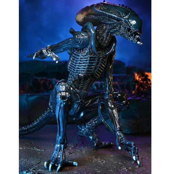 Figura Arachnoid Alien (Alien vs. Predator) Figura Arachnoid Alien (Alien vs. Predator)