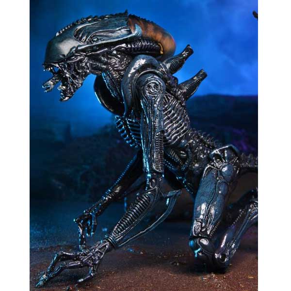 Figura Arachnoid Alien (Alien vs. Predator) Figura Arachnoid Alien (Alien vs. Predator)