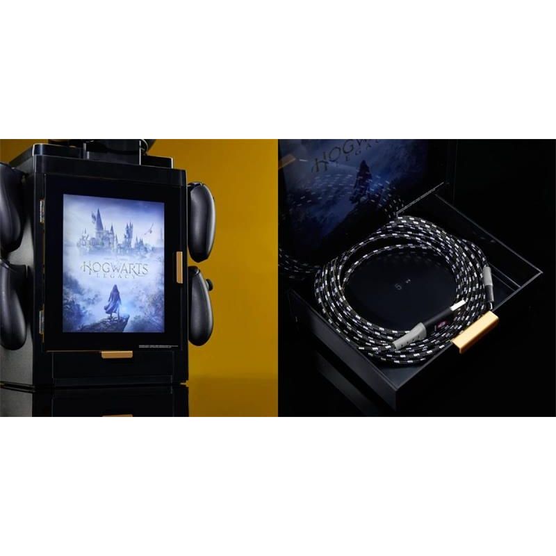 Hogwarts Legacy LED Gaming Locker