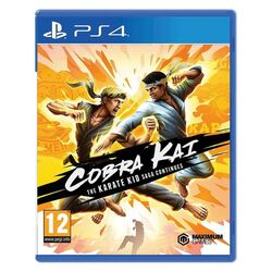 Cobra Kai: The Karate Kid Saga Continues [PS4] - BAZÁR (használt termék) az pgs.hu