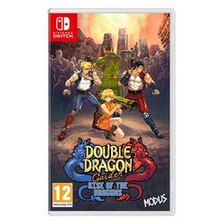 Double Dragon Gaiden: Rise of the Dragons [NSW] - BAZÁR (használt termék) az pgs.hu